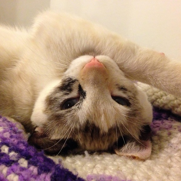 Meet your Posher, Beth - Picture 3 of 11